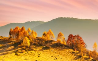 Картинка осень, пейзаж, горы, деревья, природа, закат, цвета