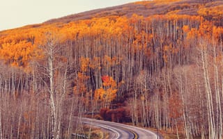 Картинка осень, дорога, пейзаж, деревья, природа, цвета, горы