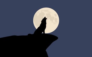 Картинка волк, луна, ночь, природа, силуэт, пейзаж, темный