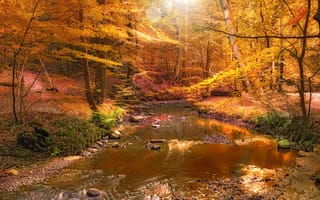 Картинка осень, река, природа, лес, солнце, пейзаж, водопад