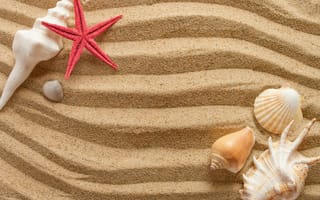 Картинка песок, ракушка, звезда, море, пляж, природа, отдых
