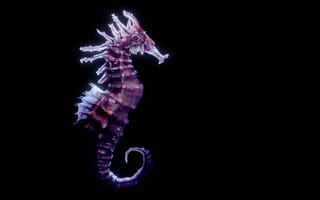 Картинка морской конек, океан, животные, подводный мир, фантазия, глубина, красота