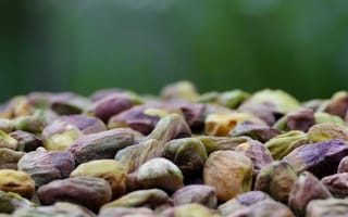 Картинка фисташки, орехи, еда, натуральные, здоровье, закуска, пища