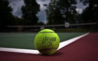 Картинка теннисный мяч, теннис, спорт, корд, зеленый, площадка, фото