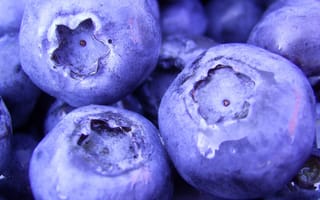 Картинка черника, ягоды, фрукты, синий, натуральный, еда, вкусно