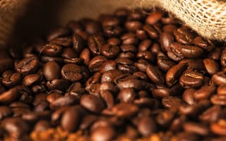 Картинка кофе, зерна, напиток, аромат, еда, культура, бразилия