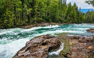 Картинка река, природа, лес, камни, пейзаж, вода, поток, зелень, отдых, красота