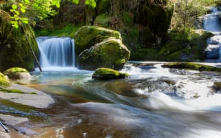 Картинка водопад, природа, река, камни, мох, пейзаж, вода, лес, освещение, спокойствие