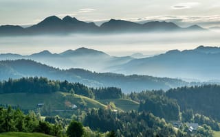 Картинка горы, природа, пейзаж, лес, туман, небо, долина