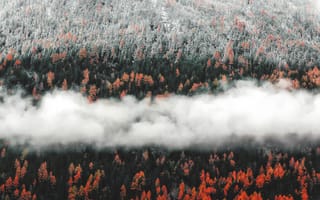 Картинка лес, осень, природа, облака, горы, пейзаж, цвета