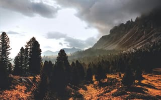 Картинка природа, горы, лес, пейзаж, облака, осень, тишина