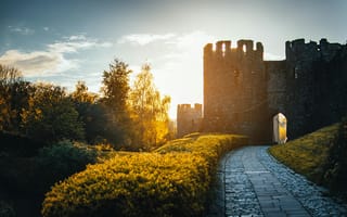 Картинка замок, природа, закат, пейзаж, дорожка, деревья, исторический