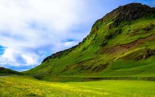 Картинка природа, горы, зеленый, пейзаж, небо, дорога, цветы