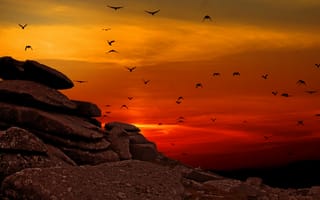 Картинка закат, камни, птицы, природа, небо, ландшафт, пейзаж