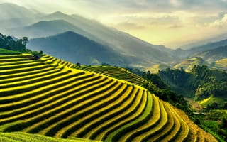 Картинка пейзаж, горы, рисовые поля, природа, зелень, закат, террасы