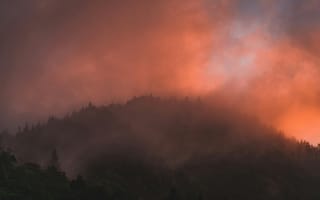 Картинка горы, закат, туман, природа, пейзаж, небо, лес