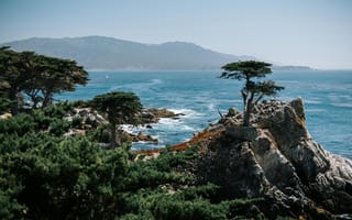 Картинка море, пейзаж, скалы, деревья, природа, отдых, лето