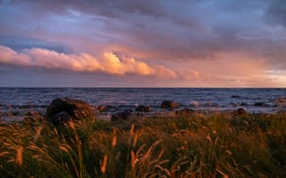 Картинка море, закат, природа, камни, трава, облака, пейзаж