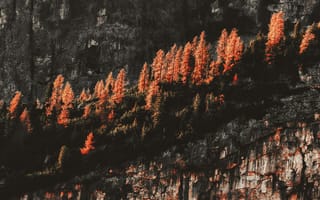 Картинка природа, осень, горы, лес, пейзаж, деревья, скалы