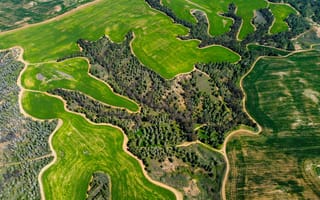 Картинка природа, пейзаж, зелень, лес, воздушная съемка, земля, поля