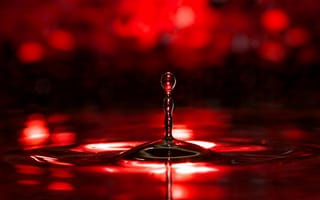 Картинка капля, вода, красный, абстракция, минимализм, фотоискусство, дизайн