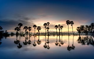 Картинка закат, пейзаж, деревья, отражение, природа, водоем, мирный