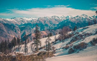 Картинка горы, снег, природа, пейзаж, лес, зима, небо