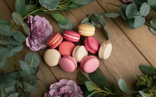 Картинка макароны, цветы, десерт, еда, фотография, натюрморт, сладости