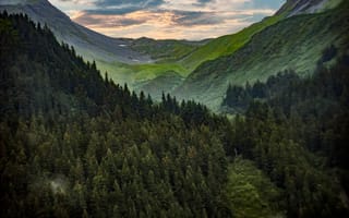 Картинка природа, горы, лес, пейзаж, небо, закат, зелень