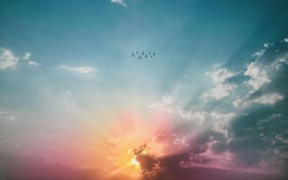 Картинка закат, небо, облака, птицы, свет, природа, красота