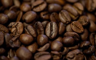 Картинка кофе, зерна, аромат, напиток, крупный план, коричневый, еда, культура