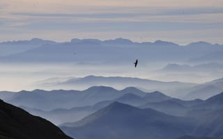 Картинка горы, пейзаж, небо, птица, облака, природа, туман