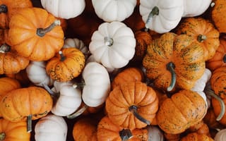 Картинка тыквы, осень, овощи, природа, фрукты, еда, декор
