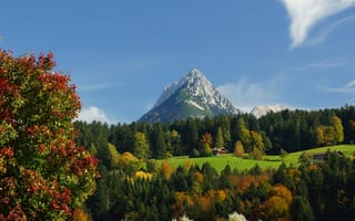 Картинка горы, природа, осень, пейзаж, лес, небо, деревья, цветы, отдых, красота