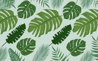 Картинка листья, растения, зелень, фоновое, природа, декор, тропики