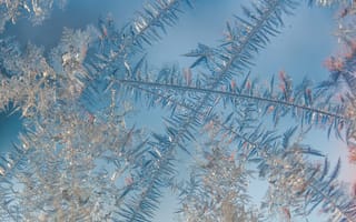 Картинка лед, узоры, зима, природа, красота, мороз, фотография