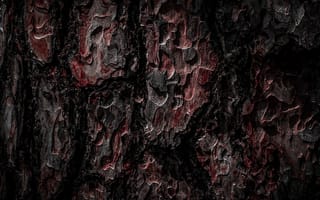 Картинка кора, дерево, текстура, природа, черный, красный, фоновое изображение, абстракция