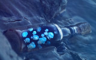 Картинка медузы, бутылка, вода, океан, синий, глубина, природа