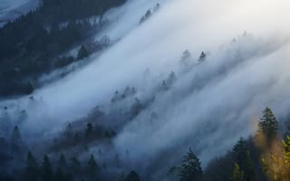 Картинка лес, туман, природа, горы, пейзаж, утро, мгла