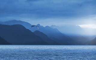 Картинка горы, озеро, пейзаж, небо, птица, природа, синий