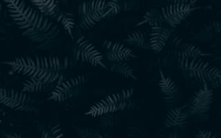 Картинка листья, фоны, природа, темный, растения, зелень, текстура