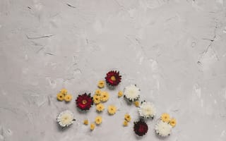 Картинка цветы, фоны, обои, природа, декор, стиль, красота