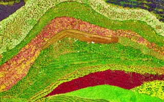 Картинка природа, цветы, ландшафт, зелень, пейзаж, красота, весна