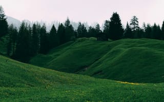 Картинка природа, пейзаж, горы, лес, зелень, домик, цветы