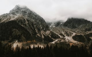 Картинка горы, природа, пейзаж, туман, лес, скалы, осень