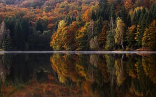 Картинка осень, природа, озеро, лес, отражение, пейзаж, цвета