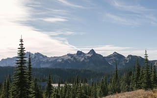 Картинка горы, природа, лес, пейзаж, небо, деревья, отдых