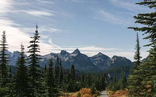 Картинка горы, природа, лес, пейзаж, осень, небо, путь