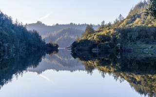 Картинка природа, озеро, лес, отражение, пейзаж, спокойствие, утро