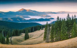 Картинка горы, лес, природа, пейзаж, туман, восход, отдых